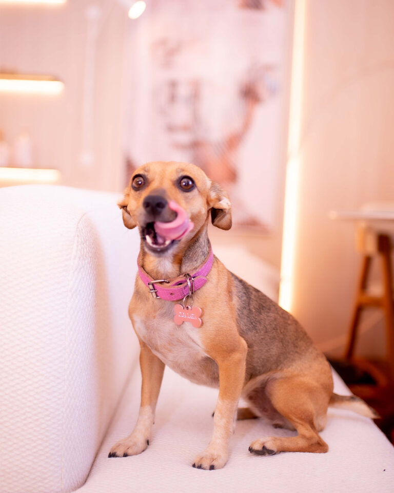 Olga Maria | Estagiária